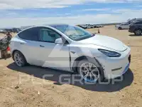 2021 Tesla Model Y фото
