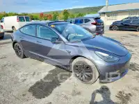 2021 Tesla Model 3 photo