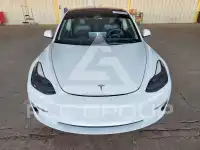 2021 Tesla Model 3 фото