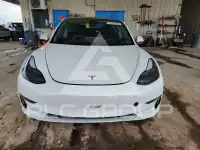 2021 Tesla Model 3 фото