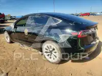 2021 Tesla Model 3 фото