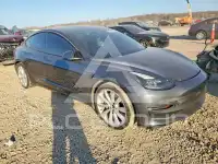 2021 Tesla Model 3 фото