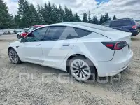 2021 Tesla Model 3 фото