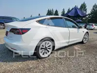 2021 Tesla Model 3 фото