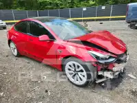 2021 Tesla Model 3 фото