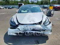 2021 Tesla Model 3 фото