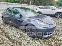 2021 Tesla Model 3 фото