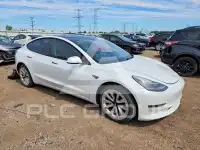 2021 Tesla Model 3 фото