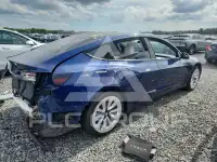 2021 Tesla Model 3 фото