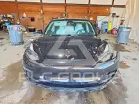 2021 Tesla Model 3 фото