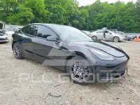 2021 Tesla Model 3 photo