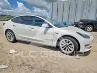 2021 Tesla Model 3 photo