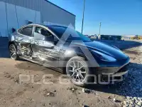 2021 Tesla Model 3 photo
