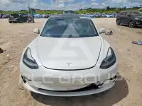 2021 Tesla Model 3 photo