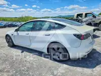 2021 Tesla Model 3 фото