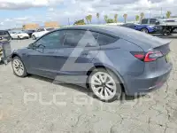 2021 Tesla Model 3 фото