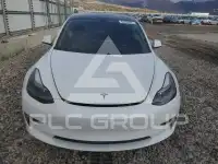 2021 Tesla Model 3 photo