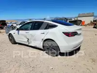 2021 Tesla Model 3 photo