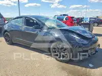 2021 Tesla Model 3 фото