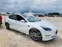 2021 Tesla Model 3 photo