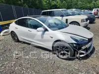2021 Tesla Model 3 фото