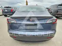 2021 Tesla Model 3 фото