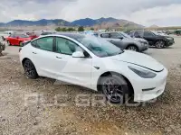 2021 Tesla Model 3 photo