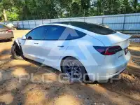 2021 Tesla Model 3 photo