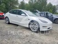 2021 Tesla Model 3 photo