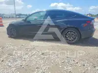2021 Tesla Model 3 photo