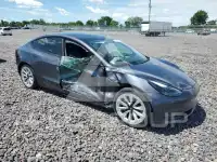 2021 Tesla Model 3 photo