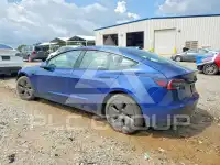 2021 Tesla Model 3 photo