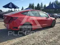 2021 Tesla Model 3 фото