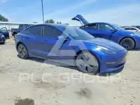 2021 Tesla Model 3 photo