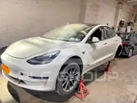 2021 Tesla Model 3 фото