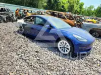 2021 Tesla Model 3 фото