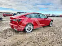 2021 Tesla Model 3 фото