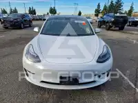 2021 Tesla Model 3 photo