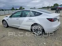 2021 Tesla Model 3 photo