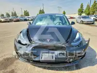 2021 Tesla Model 3 photo