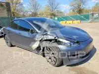 2021 Tesla Model 3 фото