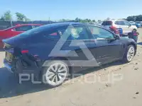 2021 Tesla Model 3 фото