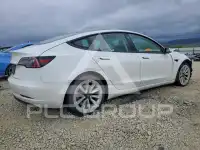 2021 Tesla Model 3 photo