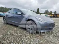 2021 Tesla Model 3 photo