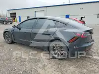 2021 Tesla Model 3 фото
