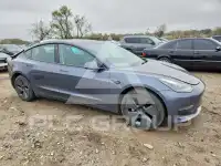 2021 Tesla Model 3 photo