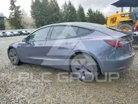 2021 Tesla Model 3 photo