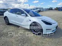 2021 Tesla Model 3 photo