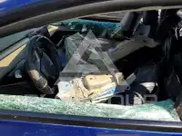 2021 Tesla Model 3 photo