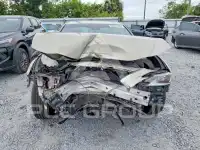 2021 Lexus ES300 фото